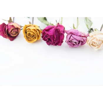 Cosmetics Rose Leaves